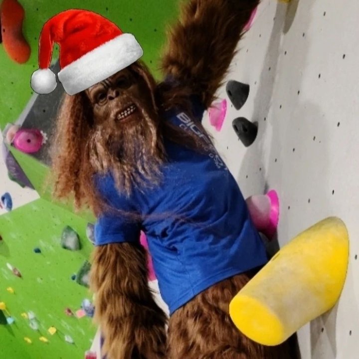 Shop local!! Bigfoot has some great gift ideas. 🎁
#shoplocalsaturday #downtownmotown #giftofadventure #indoorclimbing #bigfootsightings #bigfoot #bigfootisreal #shopping