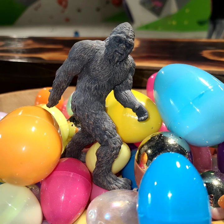 CLOSED for Easter. Monday we will be  back for $10 day passes 11-9pm.
#downtownmorganton #morgantonnc #indoorclimbing #easter #eastersunday #funthingstodoinmorganton